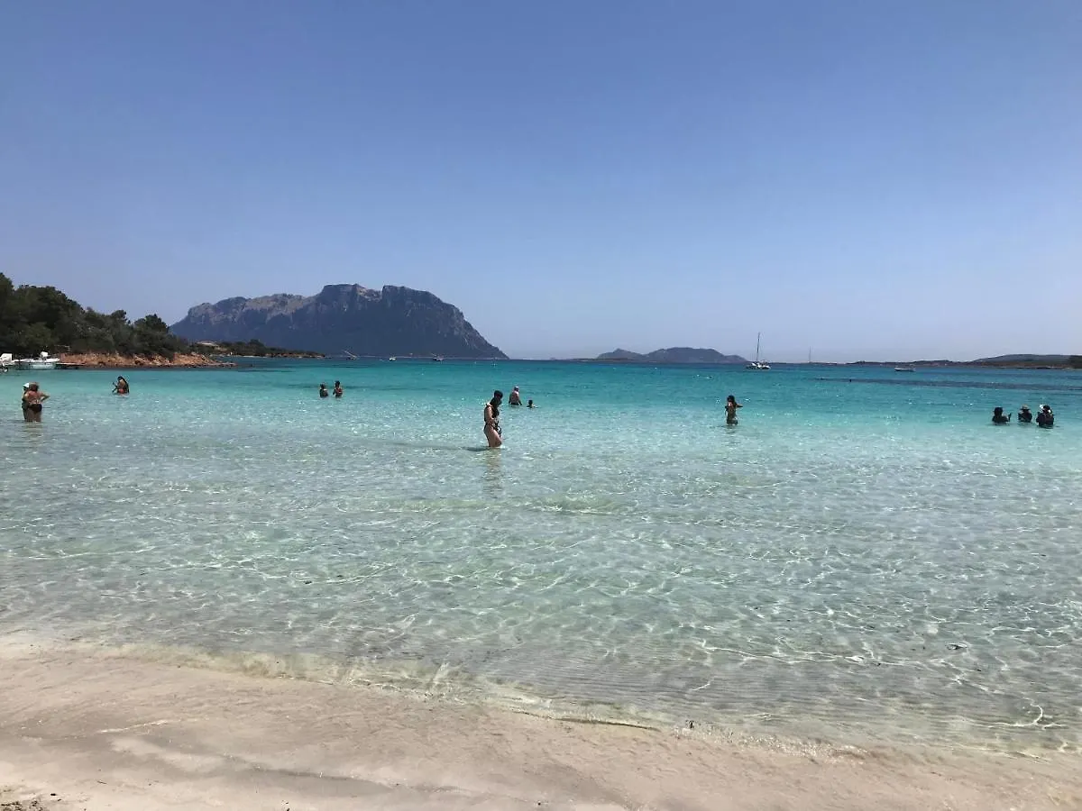 Olbia House Διαμέρισμα